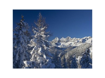 Apartment Leni & Leo - Outdoor photo 17