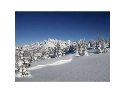 Apartment Leni & Leo - Outdoor photo 37