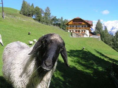 Holiday room Doppelzimmer groß mit Dusche, WC ab 3 Nächte - Outdoor photo 12