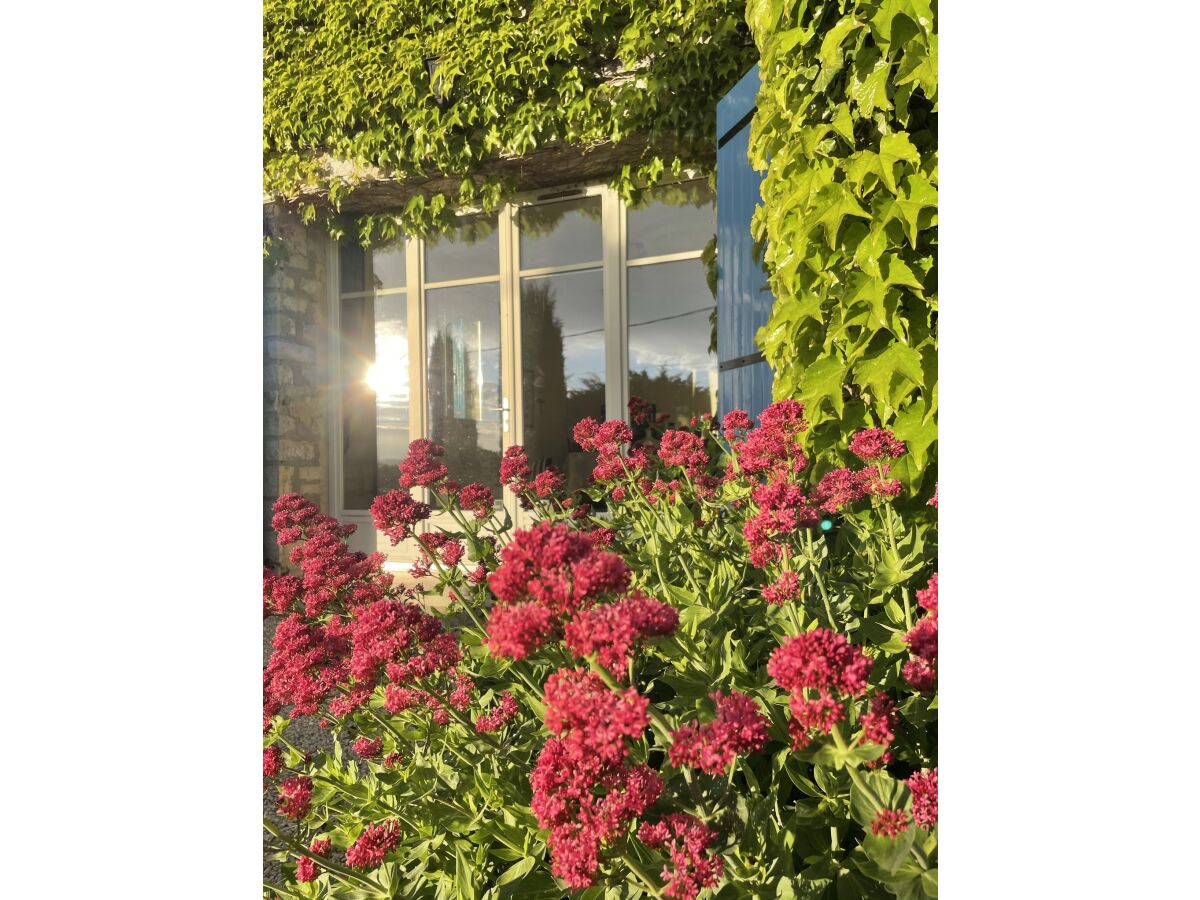 Holiday apartment Cerisiers - Rosiers - Outdoor photo 2