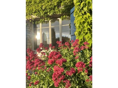 Holiday apartment Cerisiers - Rosiers - Outdoor photo 2