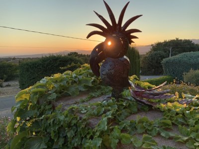 Holiday apartment Cerisiers - Rosiers - Outdoor photo 9