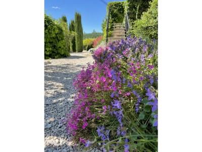 Holiday apartment Cerisiers - Rosiers - Outdoor photo 12