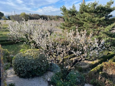 Holiday apartment Cerisiers - Rosiers - Outdoor photo 17