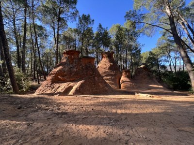 Holiday apartment Cerisiers - Rosiers - Environment photo 31