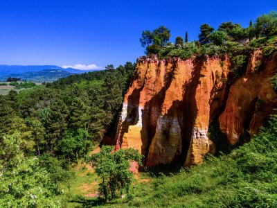 Holiday apartment Cerisiers - Rosiers - Environment photo 32