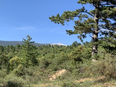 Holiday apartment Cerisiers - Rosiers - Environment photo 36