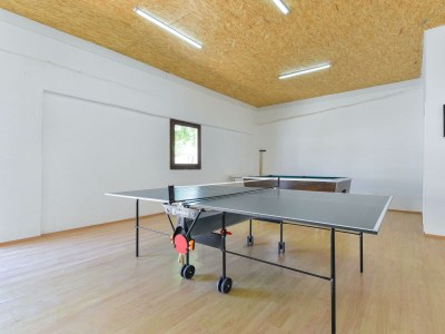 Villa Marinic - Features photo 66