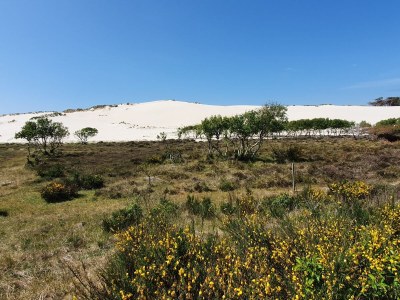 Holiday house Buitenplaats 109 - Environment photo 22