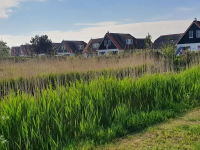 Holiday house Buitenplaats 109 - Environment photo 23