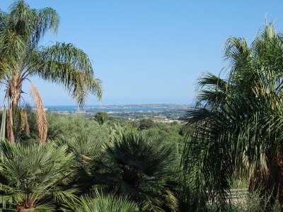 Holiday house Villa Orchidea - Environment photo 19