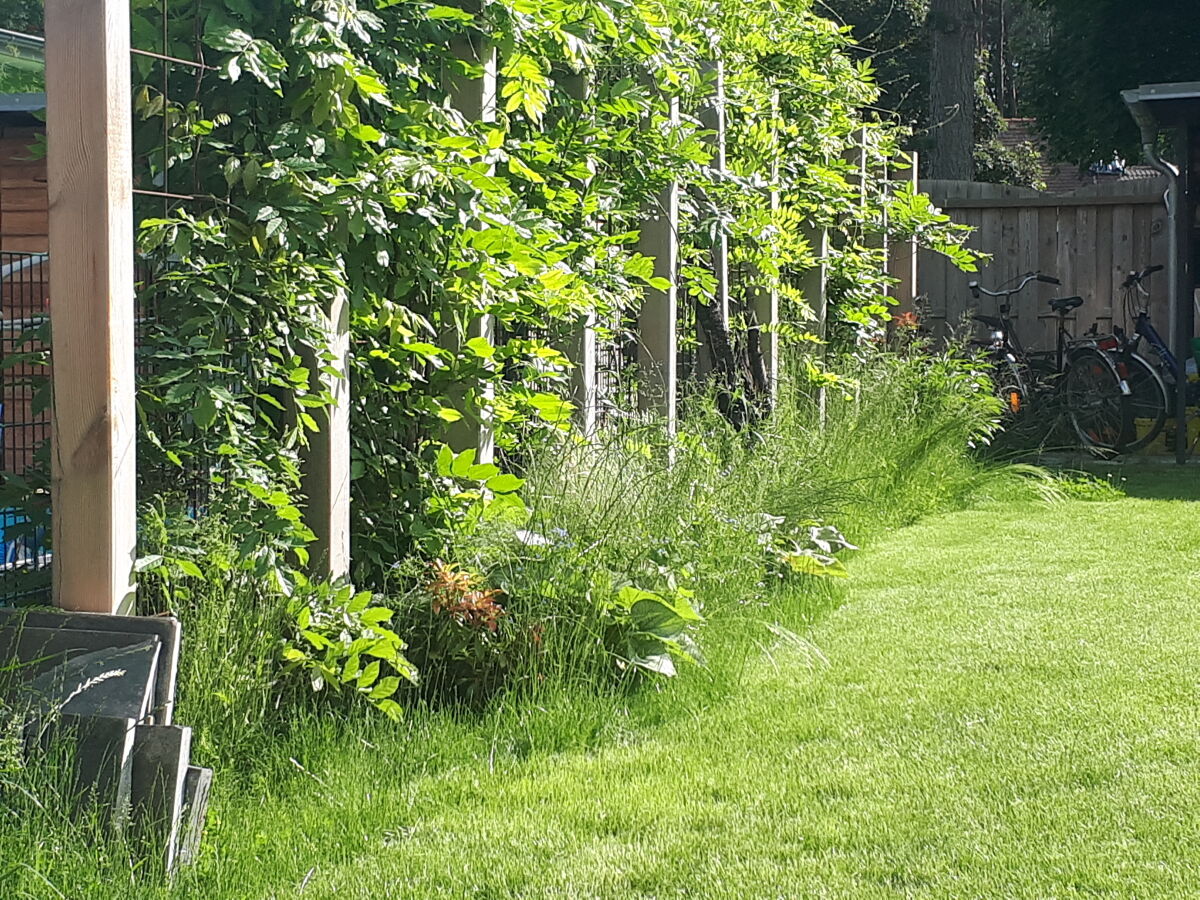 Holiday apartment "Chilling at Schorfheider" - Outdoor photo 4