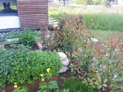 Holiday apartment "Chilling at Schorfheider" - Outdoor photo 7