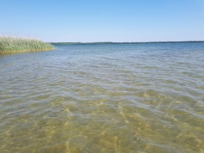 Holiday apartment "Chilling at Schorfheider" - Environment photo 39