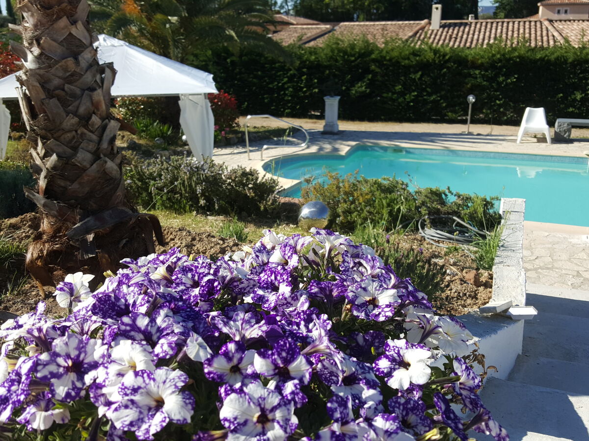 Apartment Carpe Diem - Outdoor photo 3