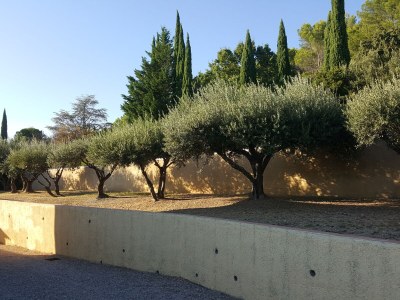 Apartment Carpe Diem - Outdoor photo 15