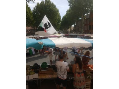 Apartment Carpe Diem - Environment photo 34