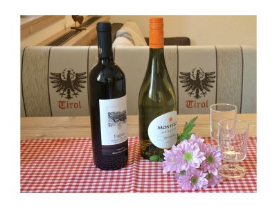 Apartment Tirol - Features photo 22