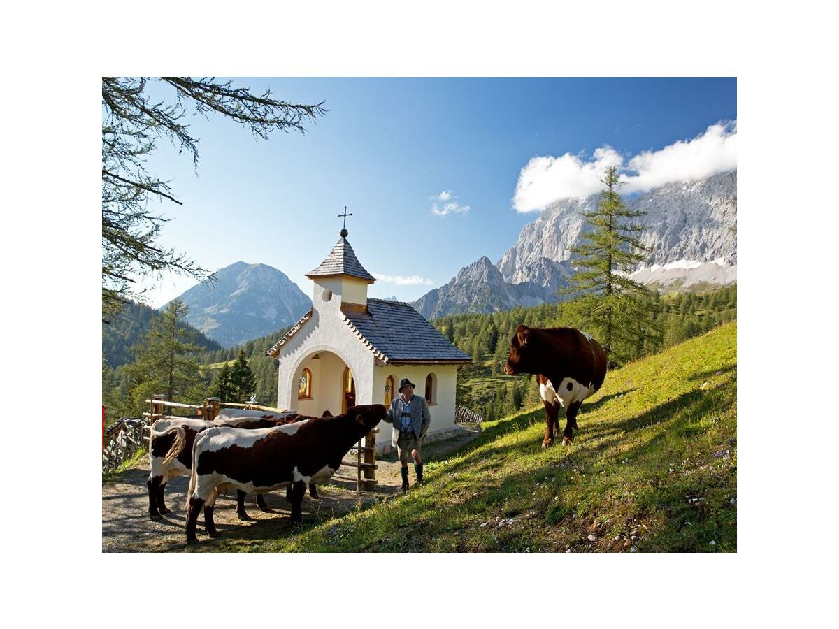 Apartment Kuschelhütte/1 Schlafraum/ Dusche, WC - Outdoor photo 4