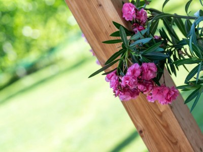 Holiday apartment Ortsried - Outdoor photo 4