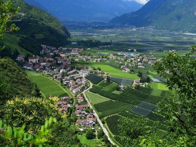 Holiday apartment Ortsried - Environment photo 17