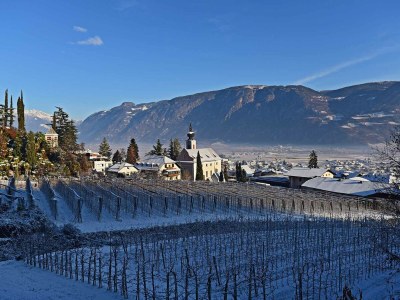 Holiday apartment Ortsried - Environment photo 18