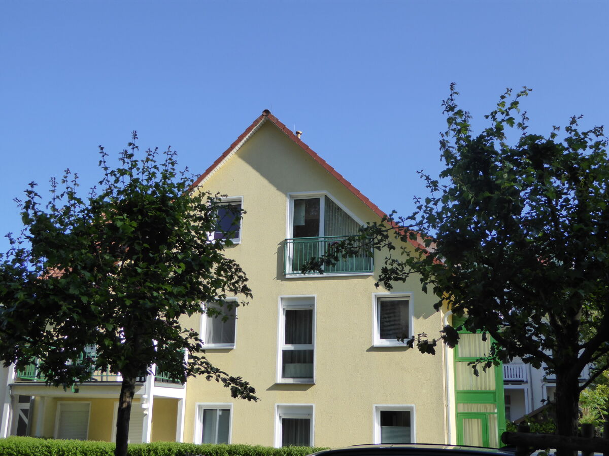 Holiday apartment "Grüne Oase am Meer" - Outdoor photo 3