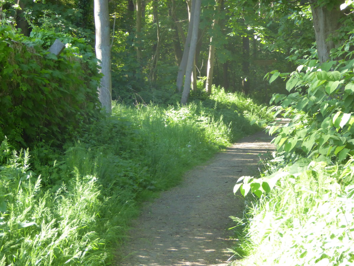 Holiday apartment "Grüne Oase am Meer" - Outdoor photo 5
