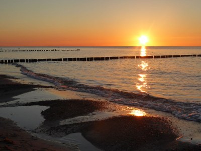 Holiday apartment "Grüne Oase am Meer" - Outdoor photo 6