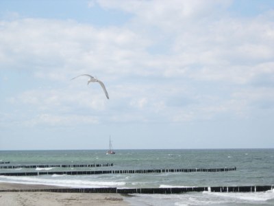 Holiday apartment "Grüne Oase am Meer" - Environment photo 13