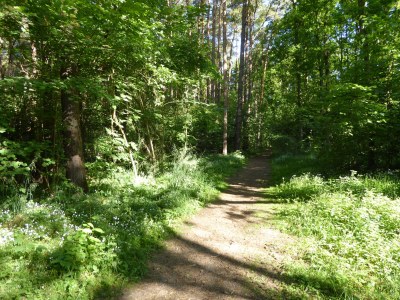 Holiday apartment "Grüne Oase am Meer" - Environment photo 14