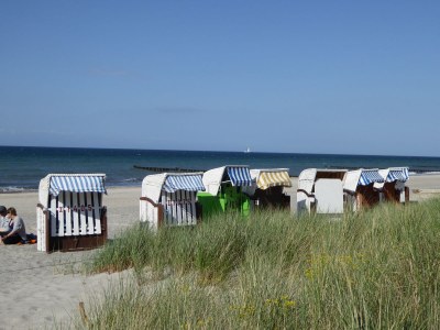 Holiday apartment "Grüne Oase am Meer" - Environment photo 15