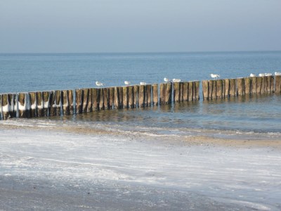 Holiday apartment "Grüne Oase am Meer" - Environment photo 19
