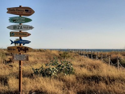 Holiday apartment Duna Beach - Environment photo 32