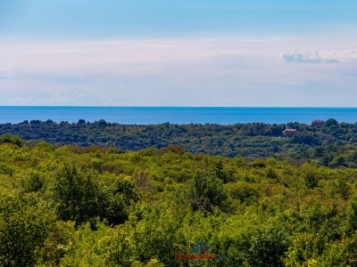 Villa Elsa - Environment photo 43