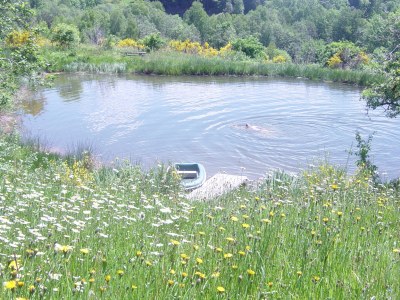 Holiday house The Pond House (la Maison des Etangs) - Outdoor photo 2