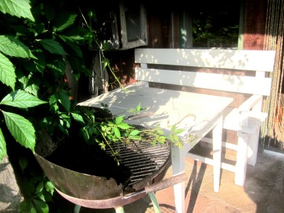 Holiday house The Pond House (la Maison des Etangs) - Features photo 11