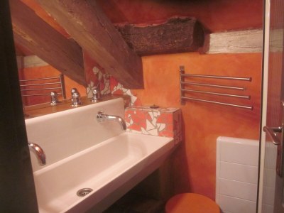 Holiday house The Pond House (la Maison des Etangs) - Features photo 12