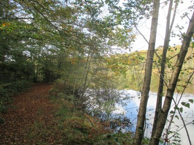 Holiday house The Pond House (la Maison des Etangs) - Environment photo 21