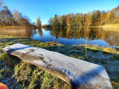 Holiday house The Pond House (la Maison des Etangs) - Environment photo 22