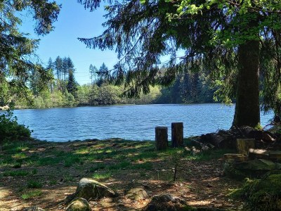Holiday house The Pond House (la Maison des Etangs) - Environment photo 23