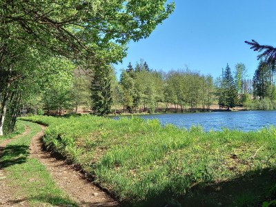 Holiday house The Pond House (la Maison des Etangs) - Environment photo 24