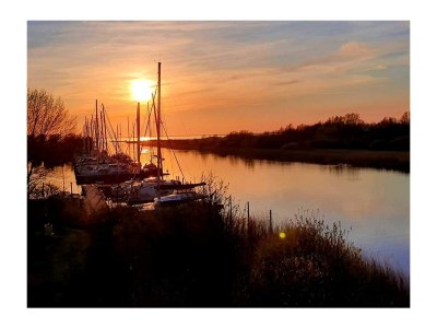 Chalet Snuffeltje - Environment photo 23