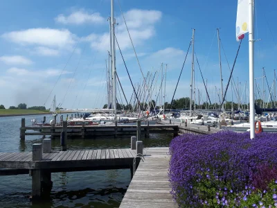 Chalet Snuffeltje - Environment photo 25