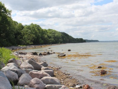 Holiday house "Ole's Seekiste" - Environment photo 21