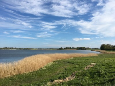 Holiday house "Ole's Seekiste" - Environment photo 27