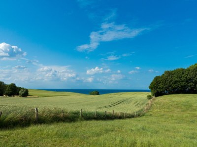 Holiday house "Ole's Seekiste" - Environment photo 33