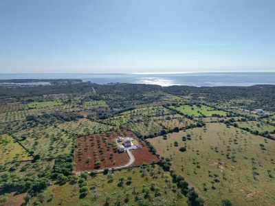 Finca Finca Sa Pletassa - Environment photo 39