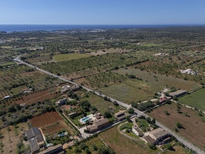 Finca Cas Mungi - Environment photo 24