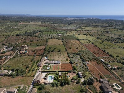 Finca Cas Mungi - Environment photo 26